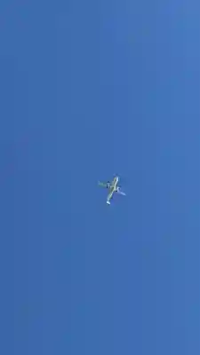 亀田龍神社(北海道)