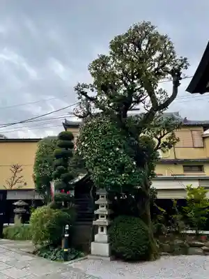 仙龍寺(東京都)