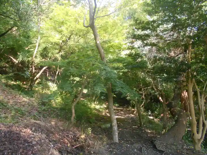 龍寳寺(龍宝寺)の自然