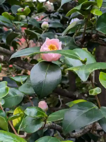 舎衛寺(岐阜県)