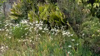 正覚寺(京都府)