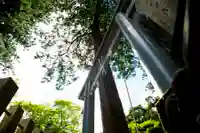 九頭龍神社の鳥居