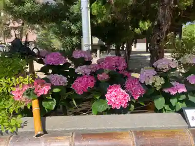三津厳島神社の手水舎