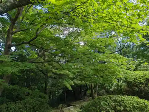 勝持寺（花の寺）(京都府)