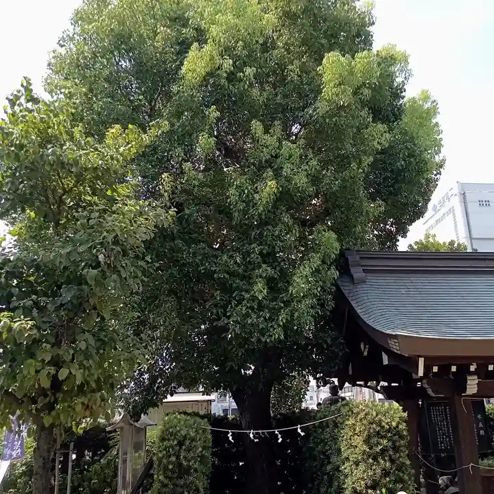 産土神社の自然