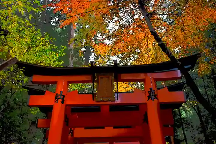 伏見稲荷大社の鳥居