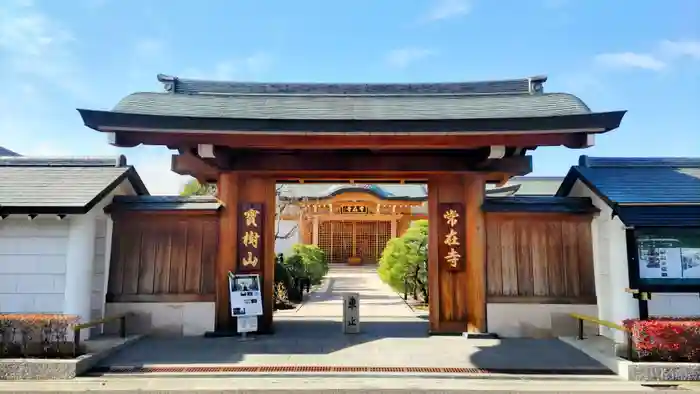 常在寺の山門