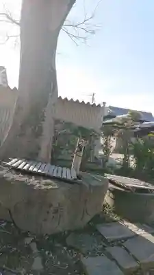 大神社の手水舎