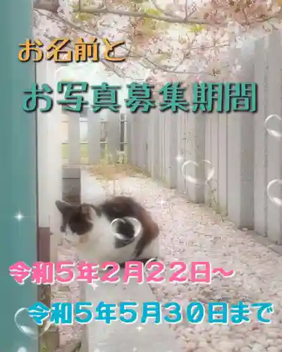 七宮神社(兵庫県)