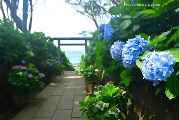 酒列磯前神社(茨城県)
