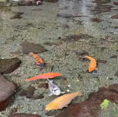 玉簾神社(神奈川県)