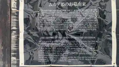 光台寺の{uncategorized: "未分類", other: "その他", undefined: "問題あり", building: "その他建物", grave: "お墓", sacred_gate: "鳥居", guardian: "狛犬", statue: "像", buddha: "仏像", history: "歴史", nature: "自然", garden: "庭園", animal: "動物", pagoda: "塔", temizu: "手水舎", mountain_gate: "山門・神門", sanctuary: "本殿・本堂", subordinate: "末社・摂社", art: "芸術", scenery: "景色", jizo: "地蔵", ema: "絵馬", goshuin: "御朱印", omikuji: "おみくじ", items: "授与品その他", amulet: "お守り", goshuincho: "御朱印帳", eats: "食事", festival: "お祭り", votive_dance: "神楽", shichigosan: "七五三参", wedding: "結婚式", experience: "体験その他", initially: "初詣", around: "周辺", anti_infection: "感染症対策"}