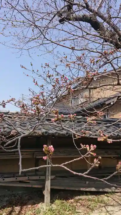 大平八幡宮の自然
