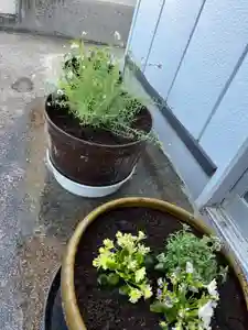 大鏑神社(福島県) 2023年03月01日(水)〜(2023年02月28日(火) 10時49分49秒投稿)