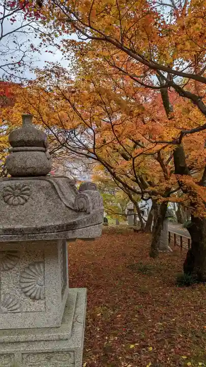 岩屋寺(京都府)