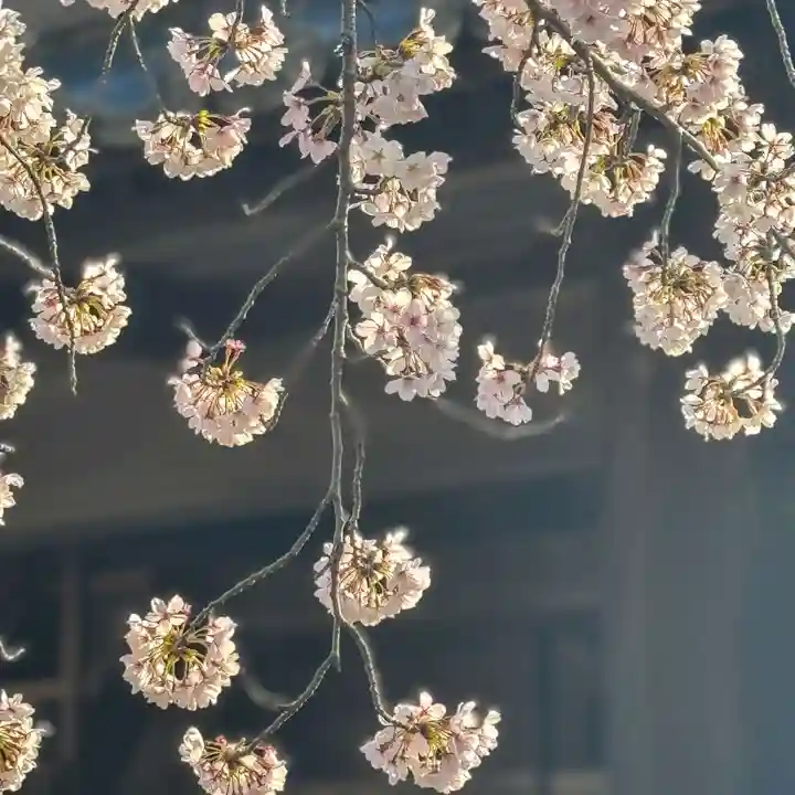 伊勢の国 四天王寺(三重県)