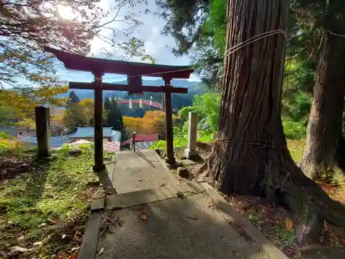 絵馬ヶ沢稲荷大明神の鳥居