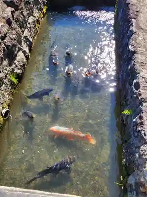 竹山随護稲荷神社(長野県)