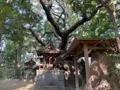 猿田彦神社(兵庫県)