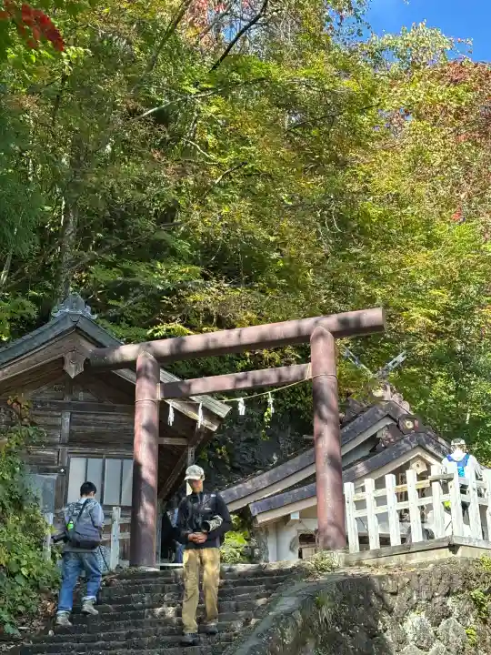 戸隠神社奥社(長野県)