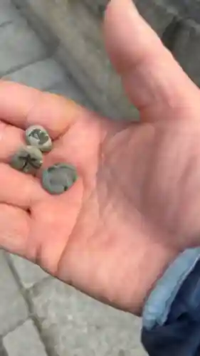 住吉大社(大阪府)