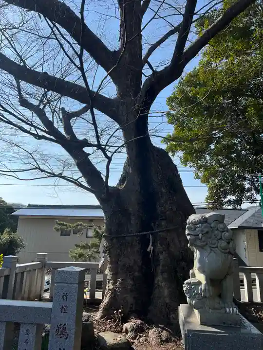 比々多神社の自然