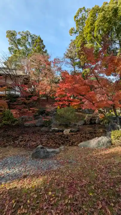 長岡天満宮(京都府)