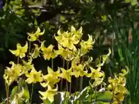 極楽山 浄土寺の自然