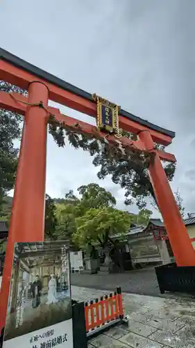 松尾大社の鳥居