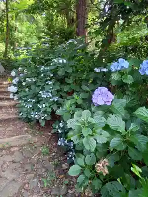 筑波山神社(茨城県)