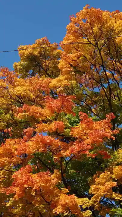 相馬神社(北海道)