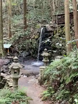 天の岩戸神社の{uncategorized: "未分類", other: "その他", undefined: "問題あり", building: "その他建物", grave: "お墓", sacred_gate: "鳥居", guardian: "狛犬", statue: "像", buddha: "仏像", history: "歴史", nature: "自然", garden: "庭園", animal: "動物", pagoda: "塔", temizu: "手水舎", mountain_gate: "山門・神門", sanctuary: "本殿・本堂", subordinate: "末社・摂社", art: "芸術", scenery: "景色", jizo: "地蔵", ema: "絵馬", goshuin: "御朱印", omikuji: "おみくじ", items: "授与品その他", amulet: "お守り", goshuincho: "御朱印帳", eats: "食事", festival: "お祭り", votive_dance: "神楽", shichigosan: "七五三参", wedding: "結婚式", experience: "体験その他", initially: "初詣", around: "周辺", anti_infection: "感染症対策"}