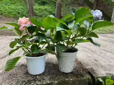 大宮温泉神社(栃木県)