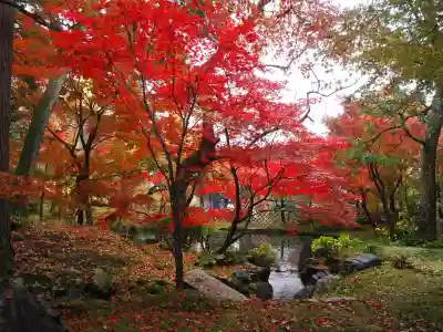 禅林寺(永観堂)(京都府)