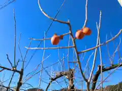 倶梨迦羅神社(長野県)