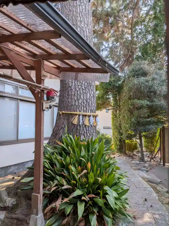中野沼袋氷川神社(東京都)