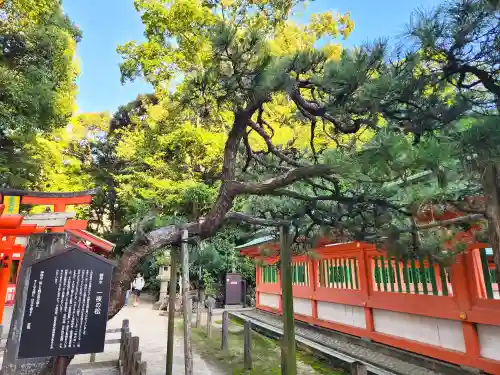 住吉神社の自然