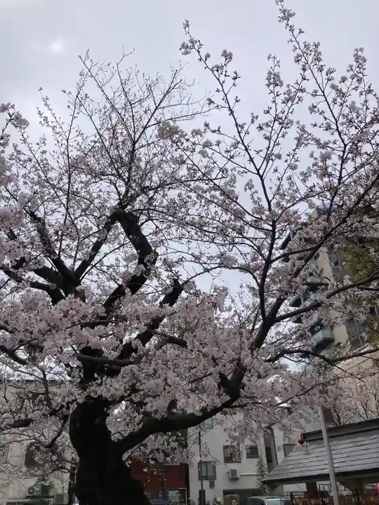 今戸神社(東京都)