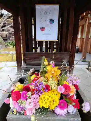 勝林寺(京都府)