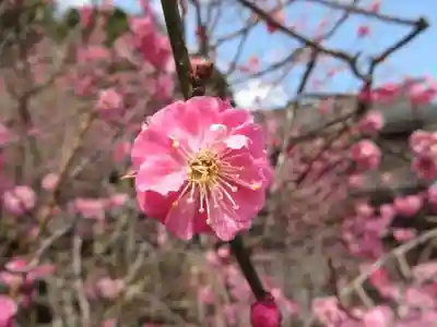 常宮神社(福井県)