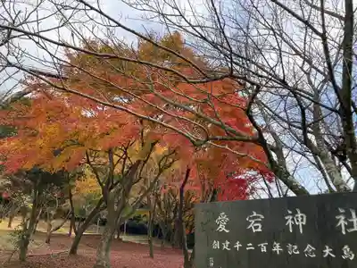 愛宕神社(茨城県)