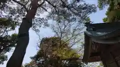 唐澤山神社の建物その他