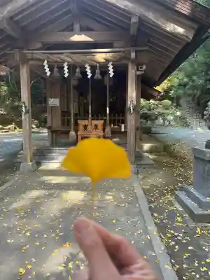 伊野天照皇大神宮(福岡県)