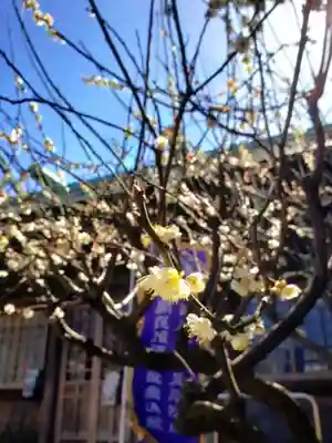 國領神社(東京都)