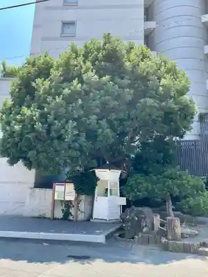 湯前神社(静岡県)