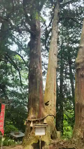 高藏寺(宮城県)