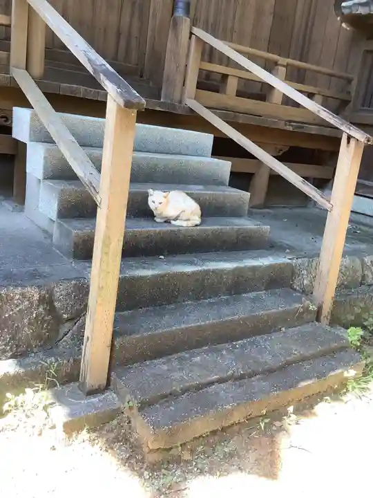 愛知県高浜市春日神社の動物