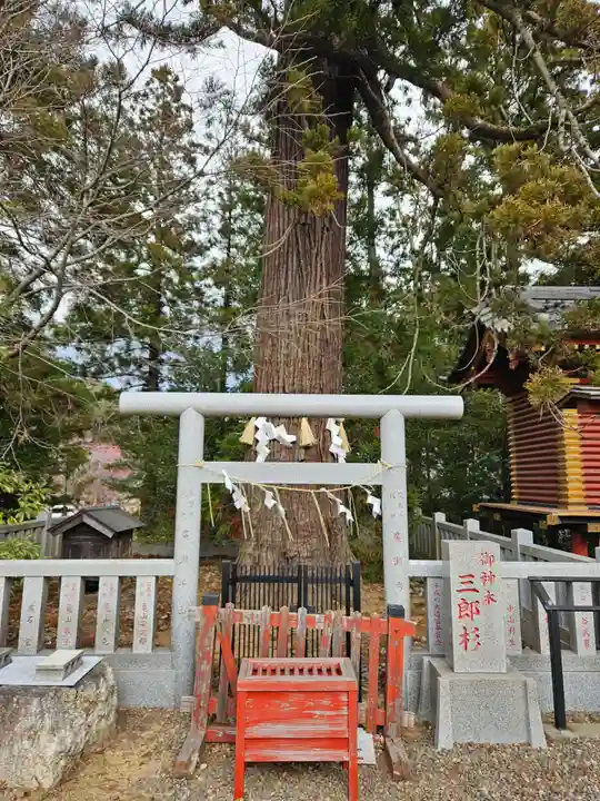 大杉神社(茨城県)