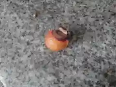 神鳥前川神社の自然