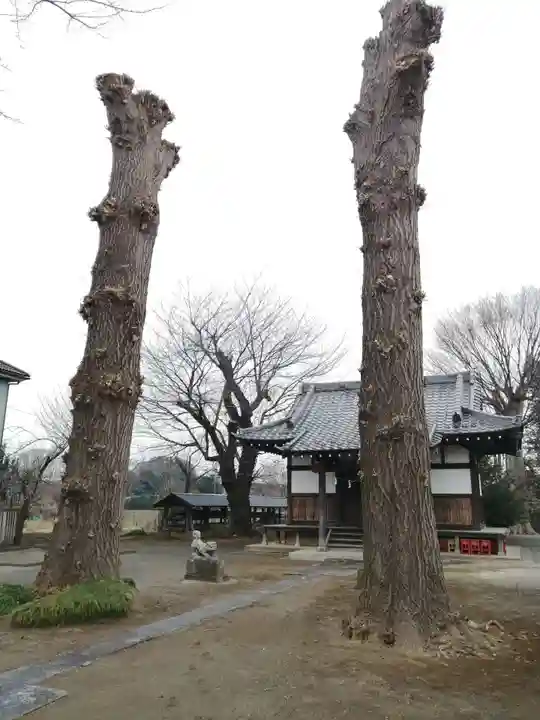 八坂神社の本殿・本堂